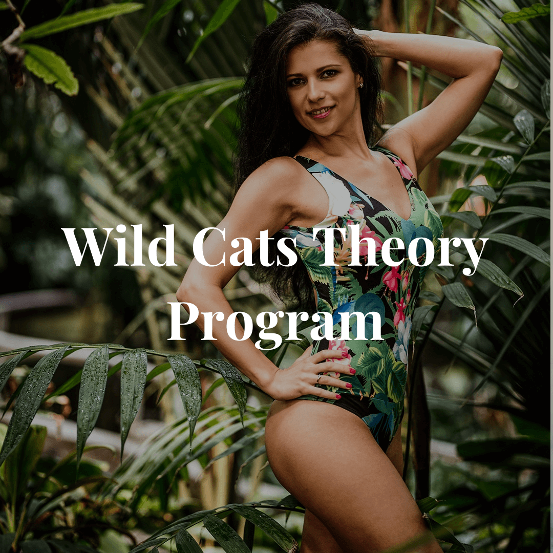 Beautyrobic Home Pro_ wild cats program